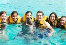 Royal Swim at Ocean World Adventure Park